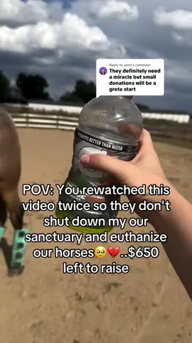 Would you be a kind person and press 4 buttons and help my horse sanctuary 🐴🐎#horsesoftiktok #horselife #viralforgood #horsefarm #horselovers 