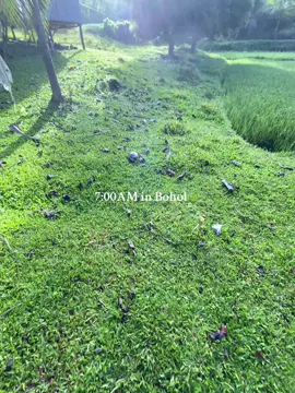 #fyppppppppppppppppppppppp #province #bohol 