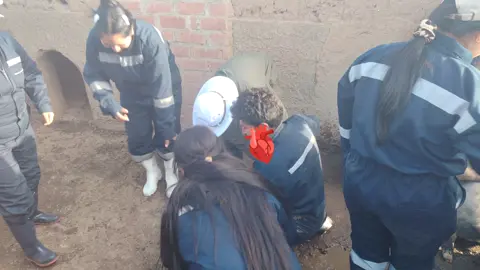 Oink 🐽 #internado #chuquibambilla #unapuno #mvz #fyp 