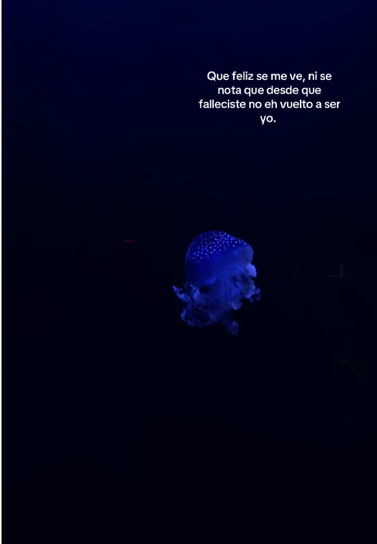 Tu ausencia me duele cada vez más ☹️ #paratii #fallecimiento #abuela 