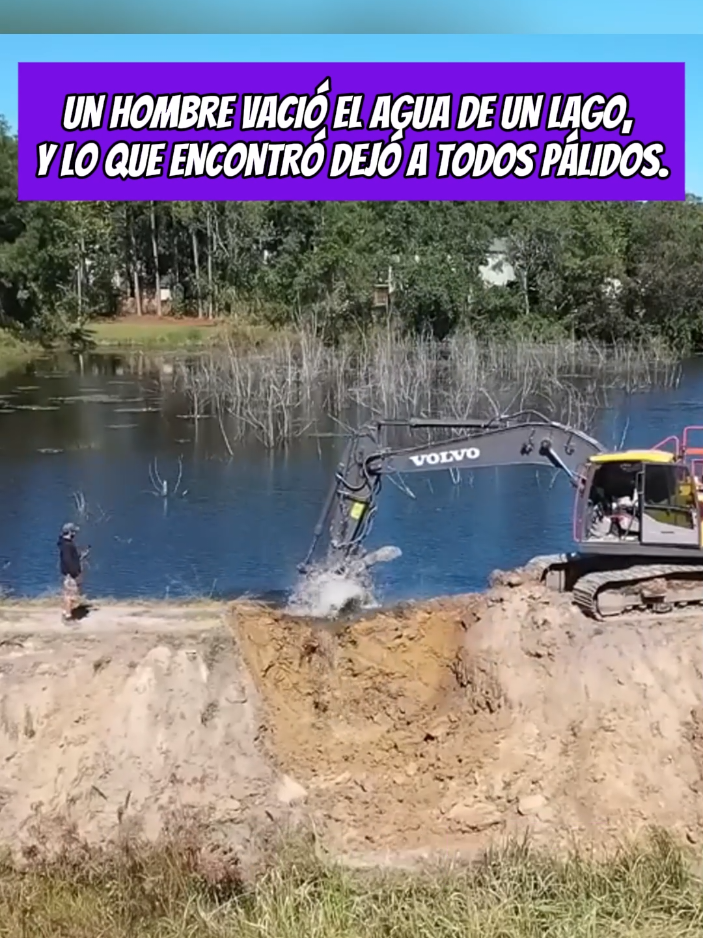 #LearnOnTikTok #story #truestory #storytelling #mystery #news #us 