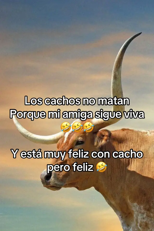 #fypシ゚ 