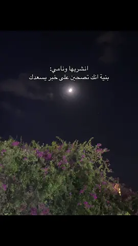 #القران_الكريم #fyp 