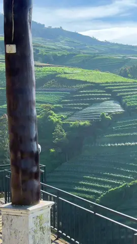 Indah nya alam ini😍 udah pada kesini belum???  Belum ya privat tripnya di bio ya buruan kepoin #magelang24jam #soundviral #vypシ✌️❤️ #viral #fypシ゚viral🖤tiktok☆♡🦋 