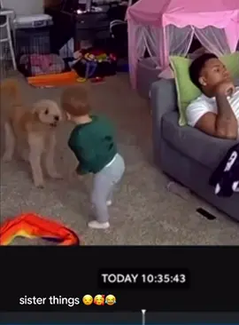 Dog: I've put up with you long enough!#dog #funnyvideos #dogs #foryoupage #tiktokdogs
