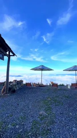 K đi cùng nhau vào những ngày mưa , thì đừng tìm nhau vào những ngày nắng :)) #taxua 