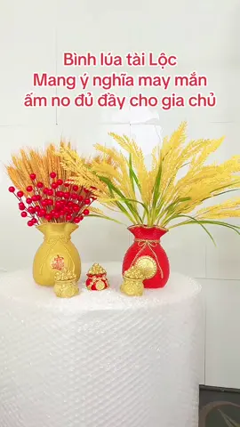 #binhluathantai #tet2026 #binhhoatrangtritet #tet2026 #tongkhogiadungtholinh 