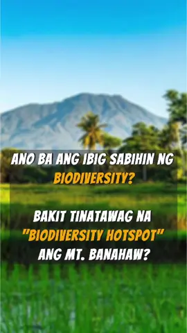 Biodiversity is life. Mt. Banahaw is not just a mountain — it’s a sacred watershed, a cultural treasure, and a biodiversity hotspot. Dito nakasalalay ang tubig, pagkain, at kabuhayan ng libo-libong pamilya sa Quezon at mga karatig-bayan. Pero kapag nawala ang biodiversity, lahat tayo ang mawawalan. Panoorin ang video na ito at sama-sama tayong maging boses para sa Banahaw. 💚 👉 Share this video and join us in protecting our mountain and our future. #JuanBanahaw #Biodiversity #ProtectBanahaw #KalikasanAtingBuhay #NoToBanahawWindmills