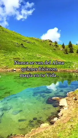 Nunca se van del Alma quienes hicieron  magia en tu Vida .#fypシ #felicidad #lov ##reflexaododia #fyppppppppppppppppppppppp 