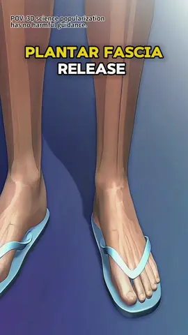 Plantar Fascia Release Surgery (3D Animation) #footsurgeon #footsurgery #plantarfasciitis #plantarfascia #plantarfasciitisrelief #plantarfascitiis #plantarfasciasurgery #medical3danimation #3dmedicalanimation