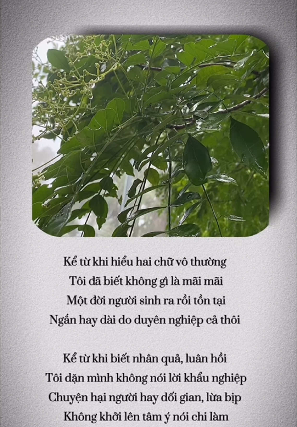 Kể từ khi hiểu hai chữ vô thường  Tôi đã biết không gì là mãi mãi Một đời người sinh ra rồi tồn tại Ngắn hay dài do duyên nghiệp cả thôi  Kể từ khi biết nhân quả, luân hồi  Tôi dặn mình không nói lời khẩu nghiệp Chuyện hại người hay dối gian, lừa bịp  Không khởi lên tâm ý nói chi làm Vốn sinh ra cũng chỉ là người phàm Tôi biết mình tham, sân, si... đủ cả Những thứ gì đã gọi là bản ngã  Khó bỏ buông nhưng chẳng để sa lầy Rồi một ngày như cơn gió thoảng bay Tôi không biết sẽ về đâu khi ấy Nhưng mỗi sáng nếu vẫn còn thức dậy  Thì kiếp này nguyện sống thật an nhiên....!!! Sưu tầm 