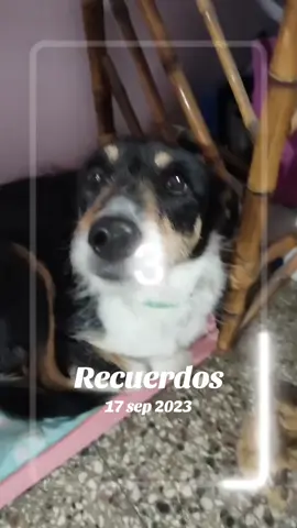 #Recuerdos