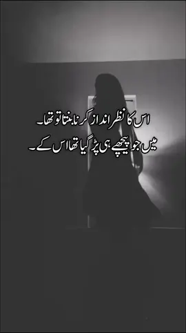 اس کا نظر انداز کرنا بنتا تو تھا۔ میں جو پیچھے ہی پڑ گیا تھا اس کے۔ #poetry #dewanayar2 #tiktok #fyp #tik_tok @😉Asho shazadi🤭 