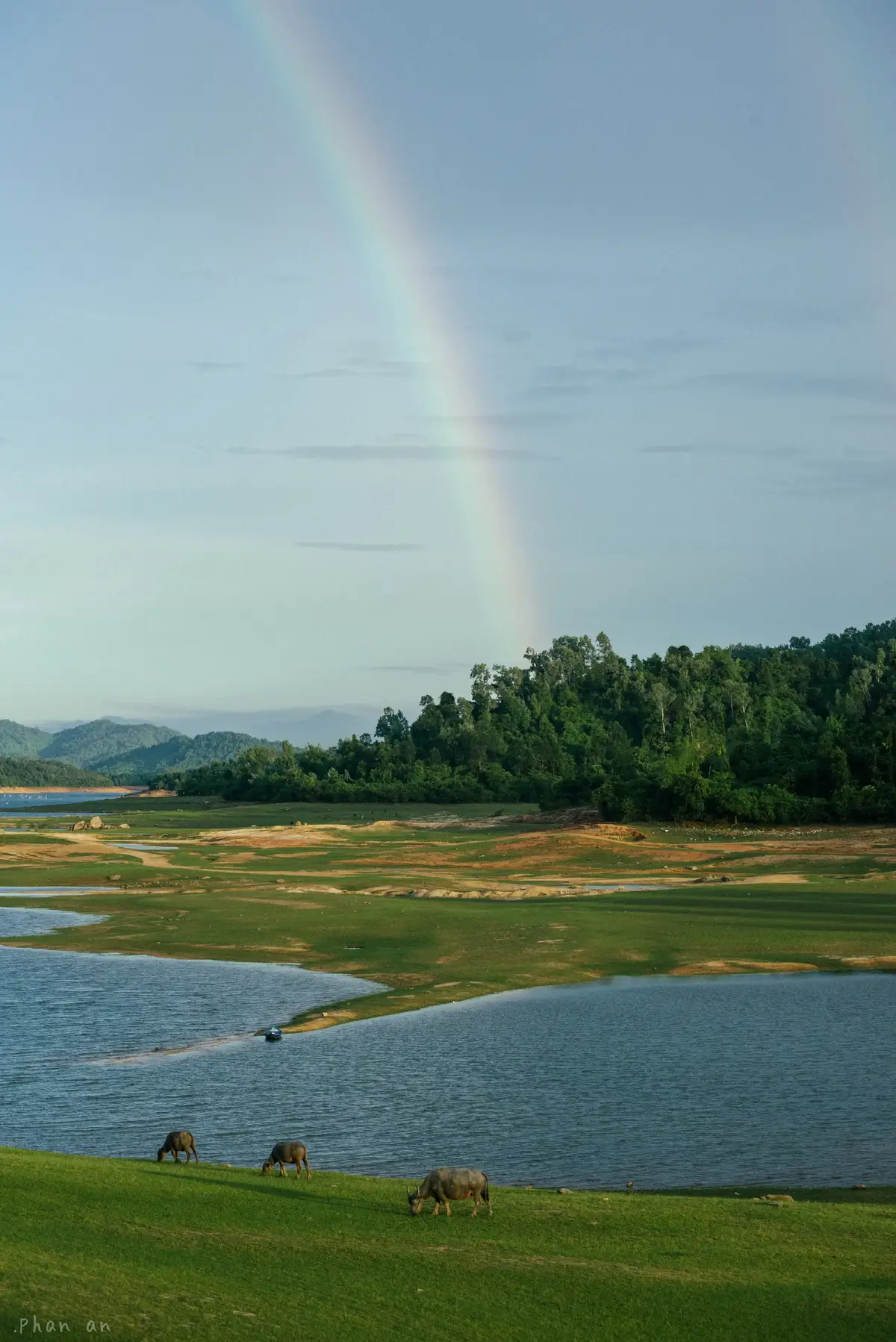 “Ngày nhẹ trôi như mây trời thong dong.” #chuanchuphinh #hophuninh #thaonguyenxanh #chill 