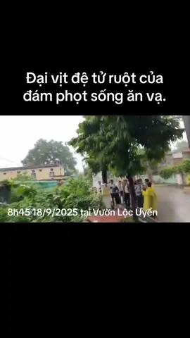 Đại vịt ăn vạ đu bám theo đám tu minh tuệ #doanvanbau #xuanlambohanhlao #thichminhtue #suminhtue #xuhuong 