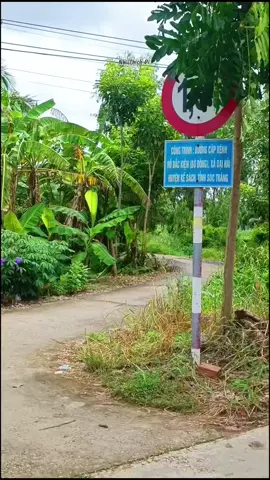 Cống Ba Rinh có bạn nào nhà gần đây hông 🤗🤗#canhdep #soctrang #canhdepthiennhien #NhiThichĐi #quetoi 