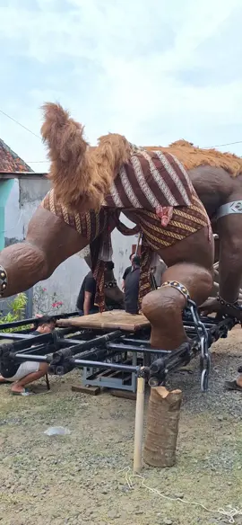 SAKSIKAN SKNC SIMBANG KULON NIGHT CARNIVAL 2025 @aong musisi ecek  . . . #night #carnival #pekalongan24jam #2025 #fyppppppppppppppppppppppp 