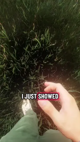 Bro showed up on the southeastern Edge 😭 #LanguageLearning #fyp #fypシ #viral #foryoupage 