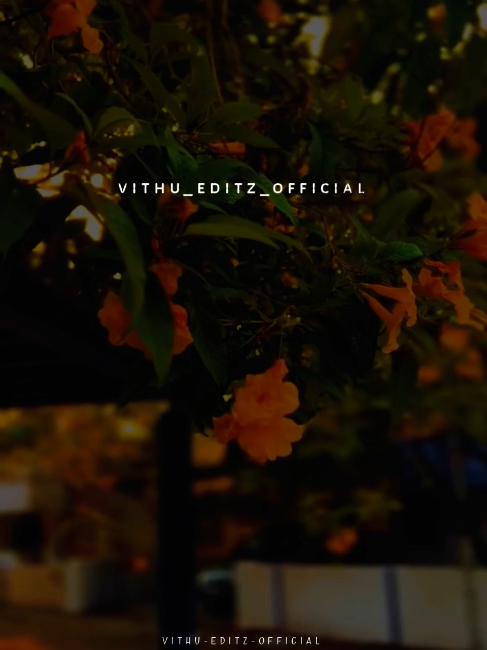 Inimel namathu idhalgal Innainthu sirikum osai ketukumae...🍂🦋 #Vithu_Editz_Official #lriycsvideo #alightmotion_edit #tamilsong #followandsupport🙏❤ 