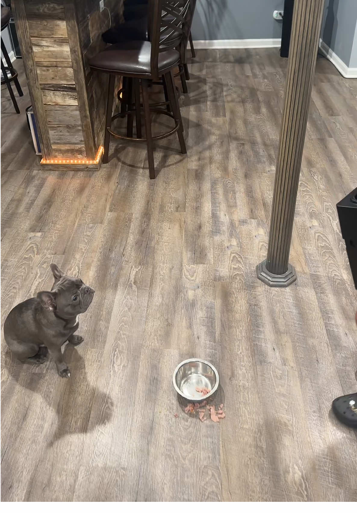 #elspet @elspet for the win! 