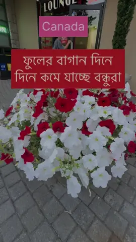 বন্ধুরা কানাডাতে গরমকাল চলে যাচ্ছে শীতকাল আসতেছে#canada🇨🇦 #foryoupage❤️❤️ #foruyou #bangladesh🇧🇩 #canada_life🇨🇦 