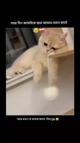 😩😩#tiktok #virallllll🥀 #foryoupage❤️❤️ #copylink 