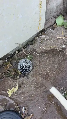 Lưới lọc chống tắc ống thoát nước #luoichanrac #xuhuong  #giadungtienich 