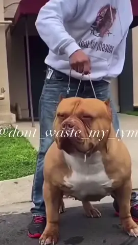 #fyp #trending #trendingreels #reelsinstagram #reels #viralvideos #viralreels #viralmemes #memestagram #foryoupage #viral #explorepage #explorepage  # #Pp7q