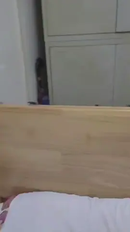 #pestcontrol #mice #tiktokshopsummerturnup #tiktokmademebuyit #tiktokshop 