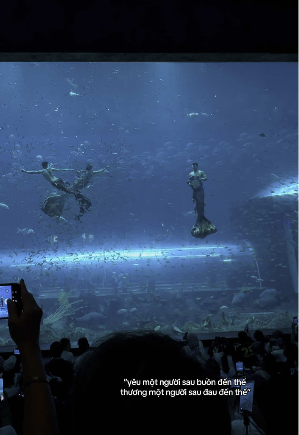 #VinWonders #GreenCreator #dulich