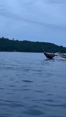 #เรื่อยๆบังไม่แขบ #ชญาณินท์2🐬 @KIM 🐯Y S N K 🇹🇭 @tiwnoppadon 