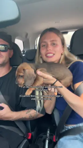 De pronto es tiktoker el que no tiene redes? #perrosalchicha #dachshund #novios 
