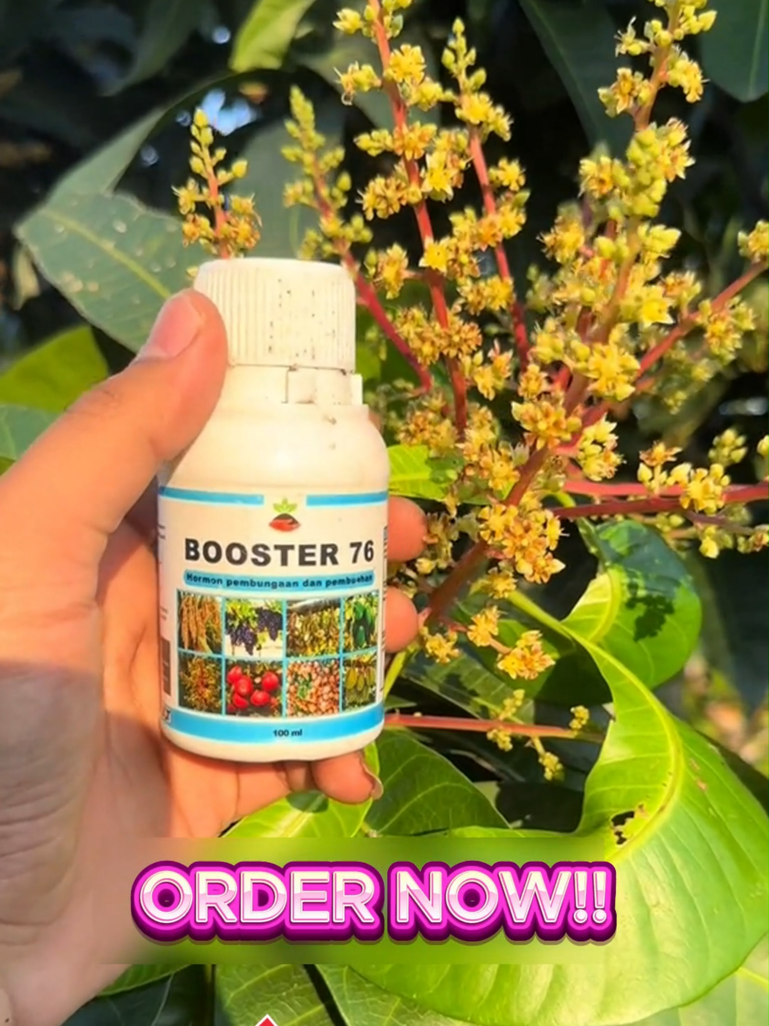 STIMULATE FRUIT BOOSTER 76 – Organic Flowering & Fruiting Enhancer for Plants #fyp #Booster76 #bloombooster #fertilizer #fruit
