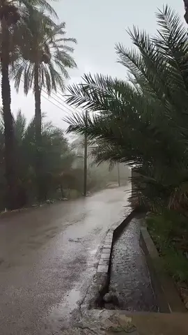 مطر# سحاب#سلطنة_عمان🇴🇲 #عز