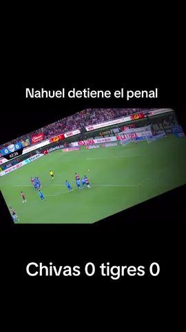 Falló el penal Álvarez #chivasdelguadalajara #penal #nahuelguzman #tigresuanl 