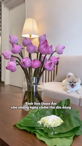 Một bình Sen Quan Âm cùng gói xôi cốm dừa như mang cả mùa thu Hà Nội vào căn nhà của chúng mình đó ạ #camhoacungnhago #camhoa #ghome #binhhoadecor #huongdancamhoa 
