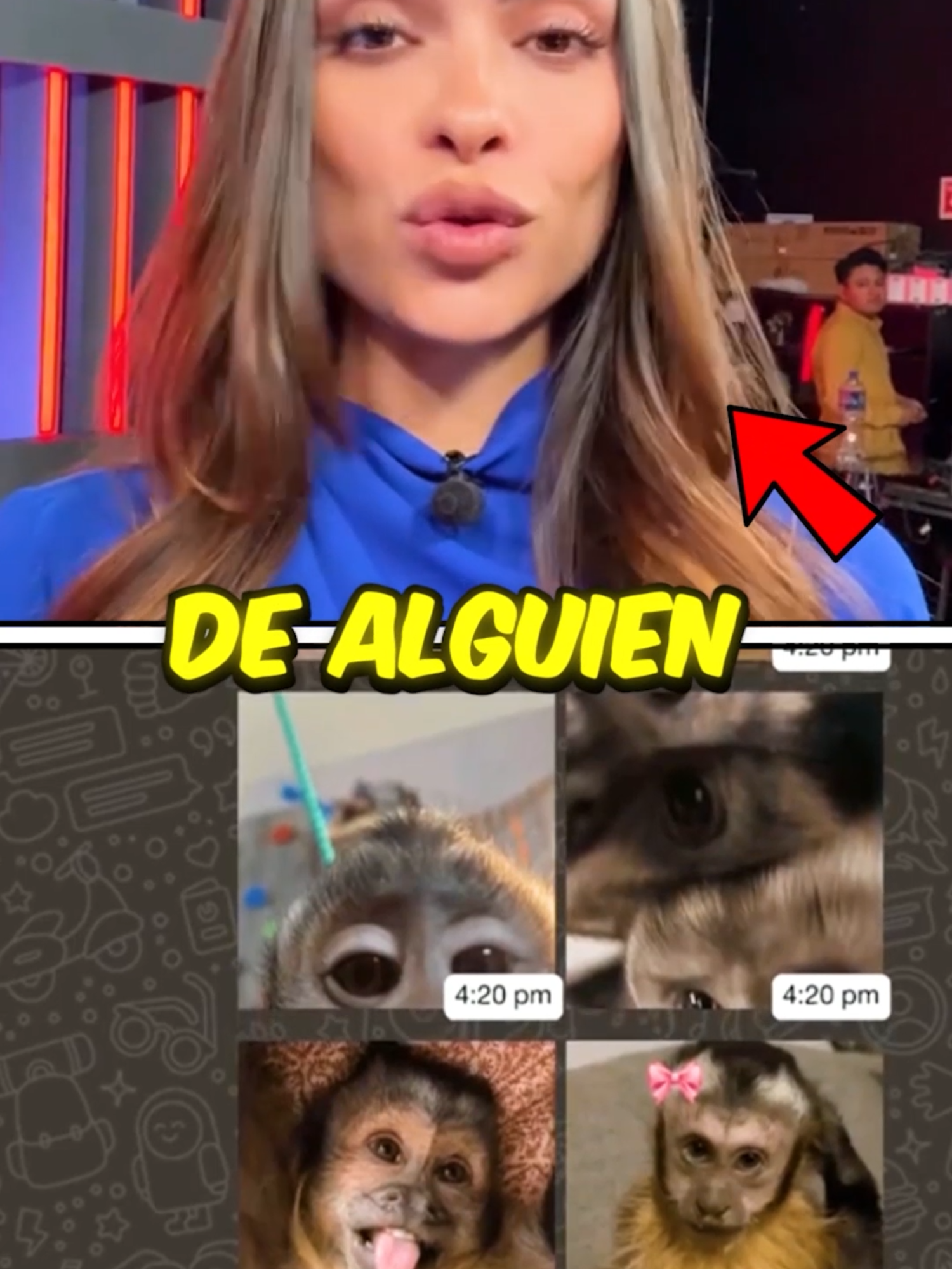 Dijo que hacer stickers de alguien era ilegal y le hicieron 50 mil stickers