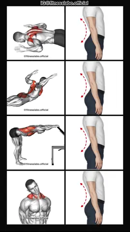 ✅ How to Fix Bad Posture  ① Laying Prone W ② Back Extension Chest Stretch  ③ Back Pec Stretch  ④ Neck Stretch  3 sets 15 reps 