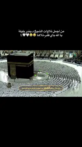 #قرآن #قرآن_كريم_راحة_نفسية🌷🌻 #مسلمين #foryo #بندر_بليلة 