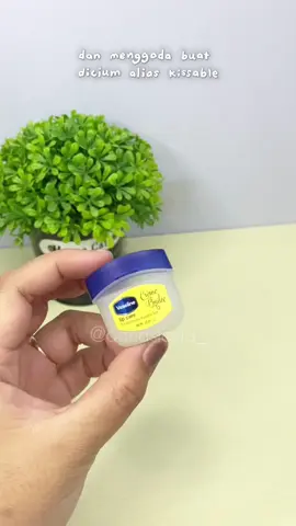 #vaselinecremebrulee #vaselineliptherapy #vaselineliptherapymurah 