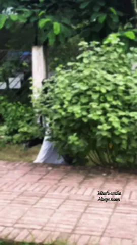 Borka from @Abaya Zone Mim’s outfit 