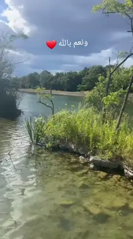 #الحمدلله_دائماً_وابداً 