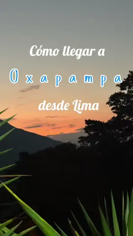 Cómo llegar a Oxapampa desde Lima #CapCut #oxapampa #junin #lima 