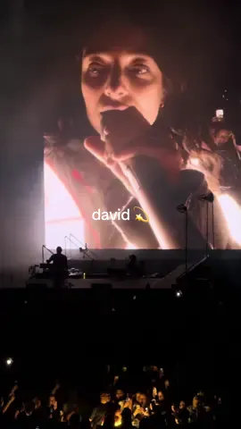 DAVID - LIVE FROM THE ULTRASOUND TOUR #lorde #ultrasoundtour #lordemusic #lordetok #lordetour 