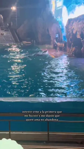 #LIVEIncentiveProgram #LIVECareer #PaidPartnership 