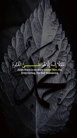 #CapCut #أللهم_صل_على_محمد_وآل_محمد #أللهم_صل_على_محمد_وآل_محمد 