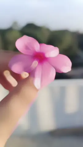 #onthisday #fypシ゚viral vedio#for you page#unfreez my account👃👃👃👃👃👃👃👃#tiktok,bangladesh 