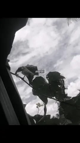 #tuananh0612_0 #fyp #tamtrang #viral 