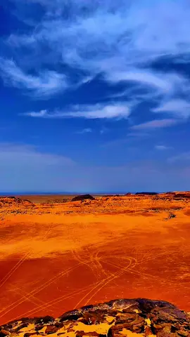 #بخيت_بن_جابر #أمطار_نجران #عان حبونا#ترندات_تيك_توك #اكسبلورexplore 