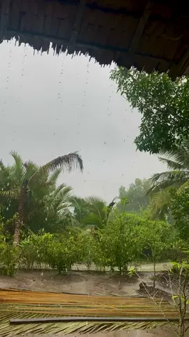 #🌧️ #chillnhac #mưa #xuhuong 